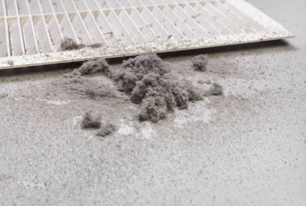 Best Home Air Vent Cleaning  in Ship Bottom, NJ